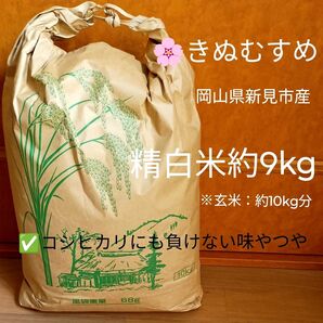 精白米約9kg きぬむすめ 玄米約10kg分 コシヒカリにも負けない味やつや ★25.05.01精米 24年度秋収穫分 農家直送