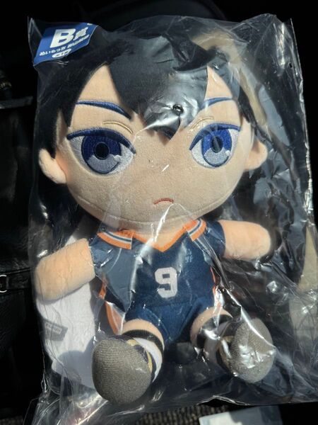 ハイキュー ぬいもっち 影山飛雄