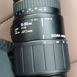 SIGMA AF 70-300mm 望遠レンズ APO MACRO