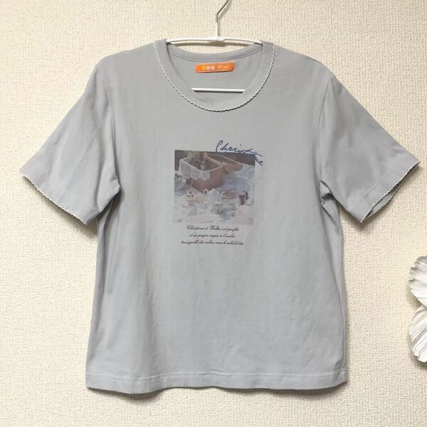 フィント ピクニック写真プリント半袖Tシャツ F くすみグレー used