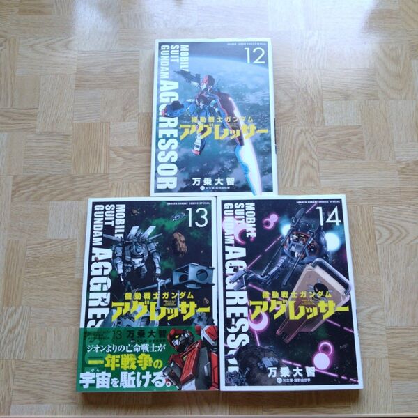 機動戦士ガンダム アグレッサー 12 13 14
