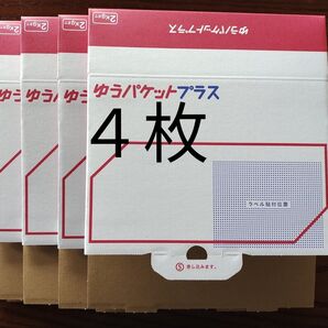 ゆうパケットプラス 4枚