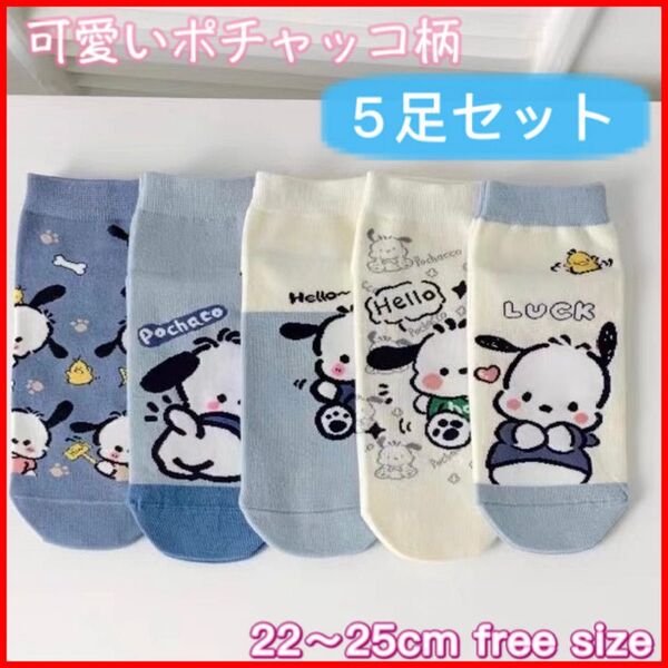 春夏新品 可愛いポチャッコ柄 かわいいキャラクター まとめ売り5足 ショート丈 キャラクター サンエックス 女の子