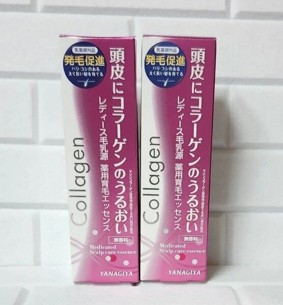 レディース毛乳源 薬用育毛エッセンス150mL 2本セット 発毛促進