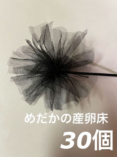 めだか 産卵床 30個 研磨剤なし チュール生地 訳あり商品