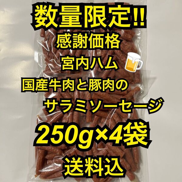感謝価格 大人気!宮内ハム 国産牛肉と豚肉のサラミソーセージ250g×4袋