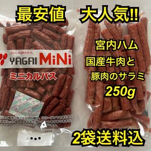最安値 大人気!ヤガイのコラーゲン入りミニカルパス250g&宮内ハムの国産牛肉と豚肉のサラミ250g