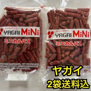 最安値 大人気!お徳用 ヤガイのコラーゲン入りミニカルパス250g×2袋