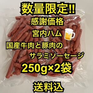 感謝価格 大人気!宮内ハム 国産牛肉と豚肉のサラミソーセージ250g×2袋