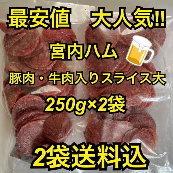 最安値 大人気!宮内ハム 豚肉・牛肉入りスライスサラミ大250g×2袋