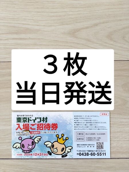 3枚【当日発送】東京ドイツ村 ドイツ村 2025/12/31まで