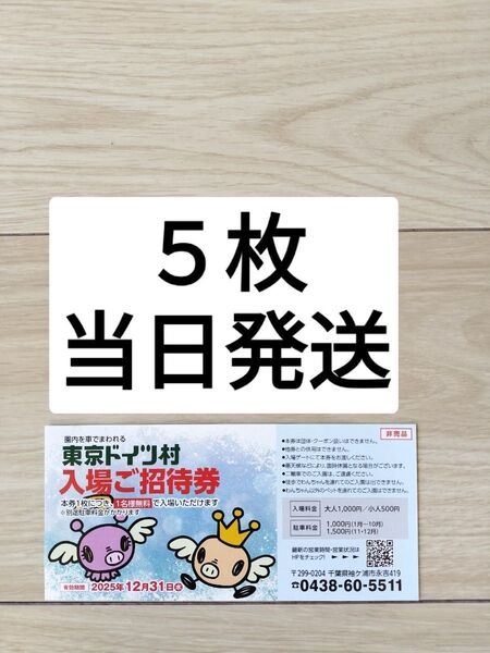5枚【当日発送】東京ドイツ村 ドイツ村 2025/12/31まで