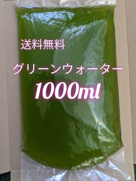 グリーンウォーター 濃いめ 1000ml メダカ 稚魚 青水 針子