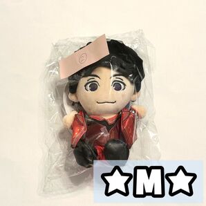 ジャニーズWEST WEST AWARD ちびスト ちびぬい ぬいぐるみ 濵田崇裕 ②