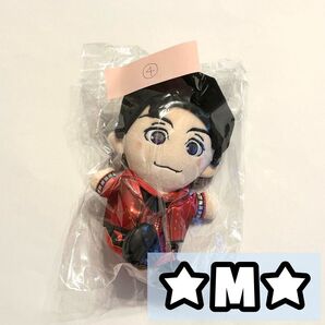 ジャニーズWEST WEST AWARD ちびスト ちびぬい ぬいぐるみ 濵田崇裕 ④