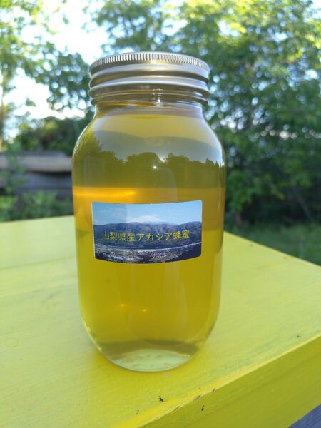 山梨県産 アカシア蜂蜜 1200g(ビン) 1本入り 2024 年5月採り