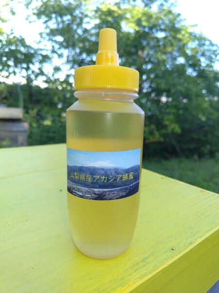 山梨県産 アカシア蜂蜜 300g(トンガリ容器)1本入り2024年5月採り
