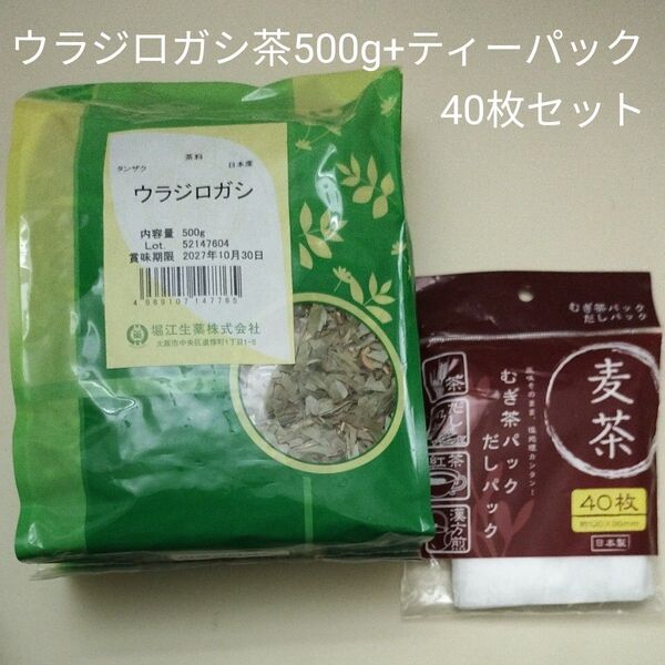 日本産 ウラジロガシ茶500g