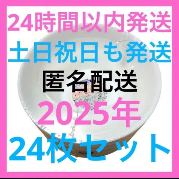 最安値 2025 24枚 ヤマザキ春のパンまつり デリシャスボウル 新品 未使用 パン祭り 白いお皿 アルク フランス 点数シール