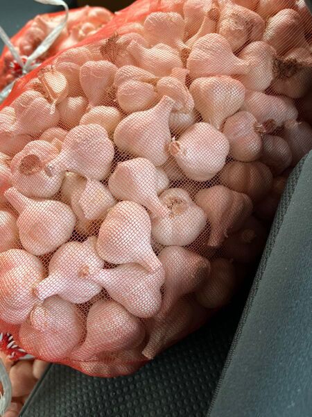 青森県産 令和6年産 にんにく S 玉 10kg
