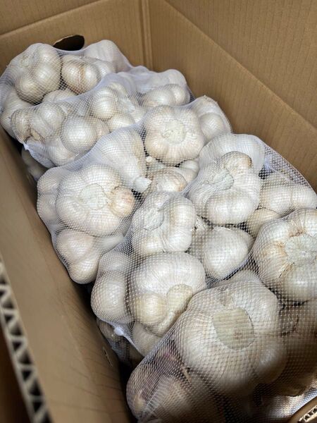 青森県産 令和6年産 にんにく L 5kg