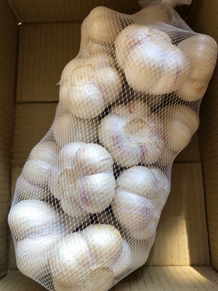 青森県産 福地ホワイト六片 にんにく L 玉 1kg