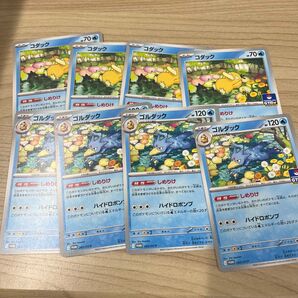 しめりけ コダック ゴルダック 各4枚セット