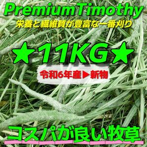 ★チモシー11kg 令和6年産新物 ★プレミアム一番刈り うさぎ 小動物用品 ペットフード 牧草 おやつ