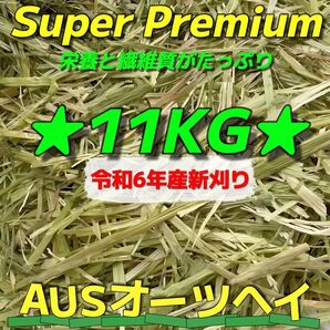 ★新着 AUSオーツ11kg 令和6年産 ★スーパープレミアム ペットフード うさぎ チンチラ モルモット 牧草 おやつ