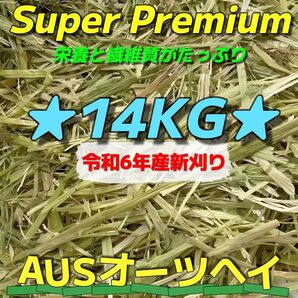 ★新着 AUSオーツ14kg 令和6年産 ★スーパープレミアム ペットフード うさぎ チンチラ モルモット 牧草 おやつ