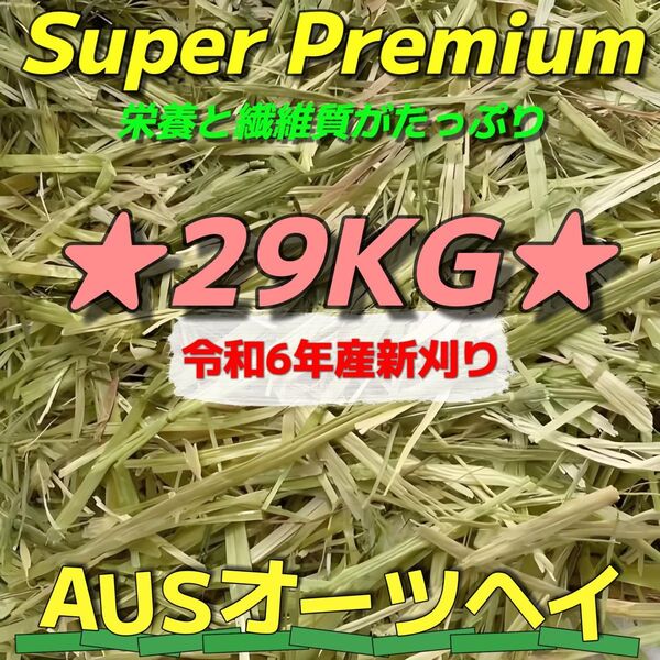 ★新着 AUSオーツ29kg 令和6年産 ★スーパープレミアム ペットフード うさぎ チンチラ モルモット 牧草 おやつ