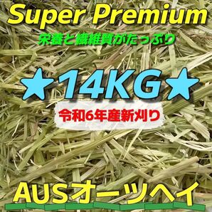 ★新着 AUSオーツ14kg 令和6年産 ★スーパープレミアム ペットフード うさぎ チンチラ モルモット 牧草 おやつ