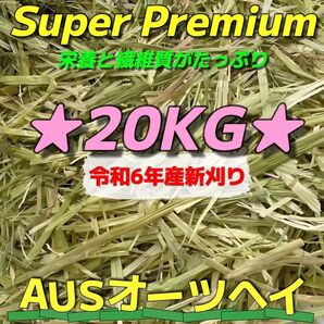 ★新着 AUSオーツ20kg 令和6年産 ★スーパープレミアム ペットフード うさぎ チンチラ モルモット 牧草 おやつ