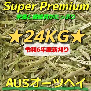★新着 AUSオーツ24kg 令和6年産 ★スーパープレミアム ペットフード うさぎ チンチラ モルモット 牧草 おやつ