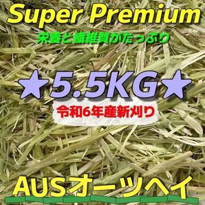 ★新着 AUSオーツ5.5kg 令和6年産 ★スーパープレミアム ペットフード うさぎ チンチラ モルモット 牧草 おやつ