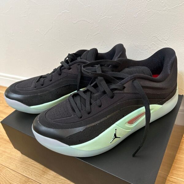 NIKE JORDAN ZION 4 PF ナイキ ジョーダン ザイオン4 バッシュ