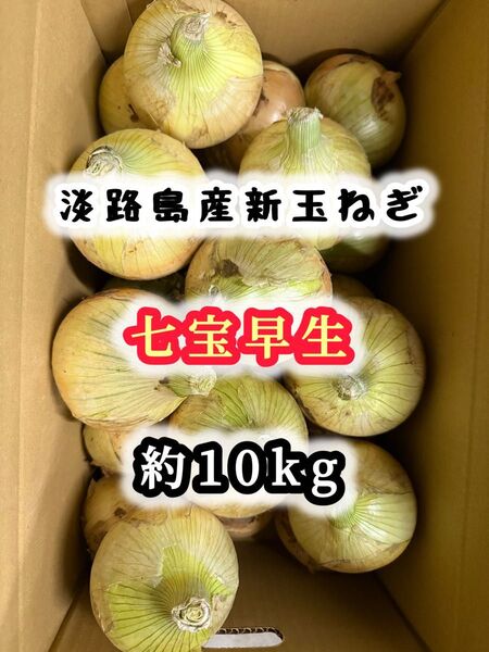 淡路島産 玉ねぎ 七宝 約10キロ