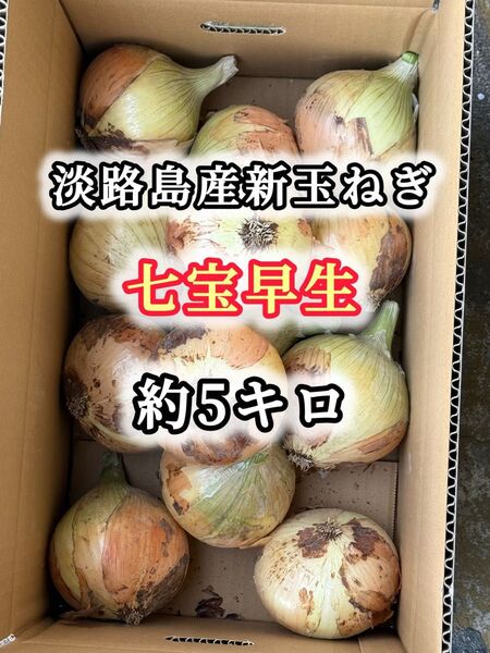 淡路島産 玉ねぎ 七宝 約5キロ