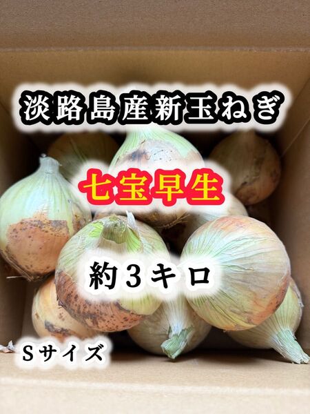 淡路島産新玉ねぎ 約3kg Sサイズ