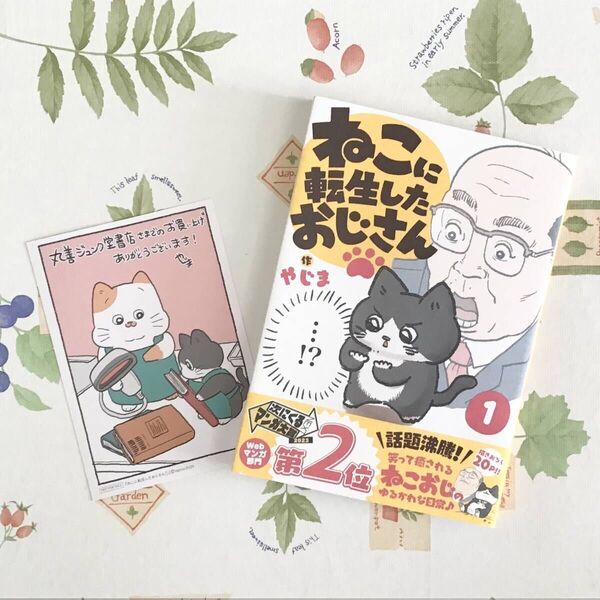 美品 猫に転生したおじさん 1巻 猫 コミックス マンガ やじま/作 コミック