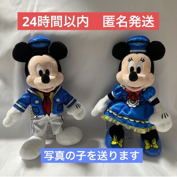 ディズニー・パルパルーザ ドナルドのクワッキー・ダック!ダック!ダックシティ!ぬいぐるみバッジ(ミッキー&ミニー)