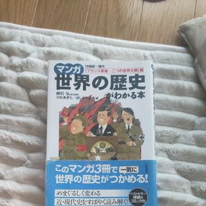マンガ世界の歴史がわかる本 〈フランス革命~二つの世界大戦〉篇 綿引弘/責任監修 小杉あきら/画 ほしのちあき/画