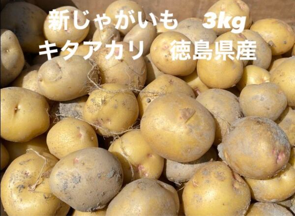 新じゃがいも キタアカリ 3kg箱込 MLゆうパック 徳島県産 農家直送
