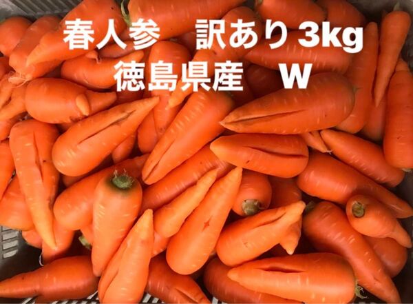 春人参 訳あり 3kg W 徳島県産