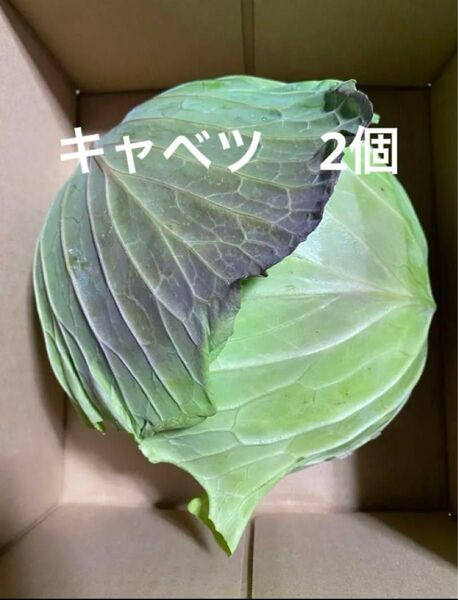 キャベツ2玉 徳島県産 ヤマト80サイズ配送