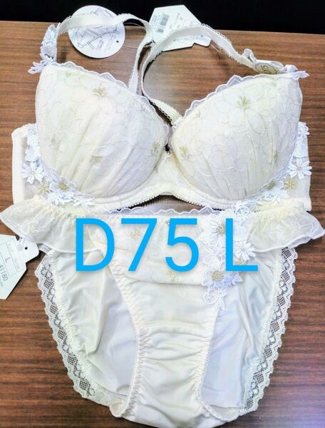 ブラジャーショーツセット D75 L