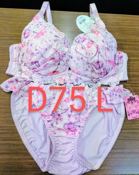 ブラジャーショーツセット D75 L