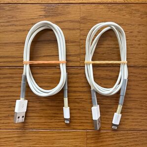 Apple 純正 ライトニングケーブル 2本セット 充電ケーブル iPhone