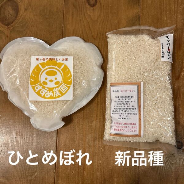 お米 白米 600g お試し 希少 新品種
