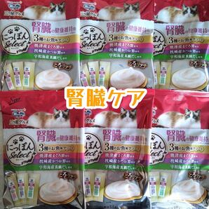 銀のスプ三ツ星グルメとろリッチ腎臓の健康維持用 6袋★猫おやつ